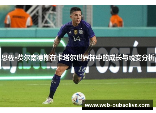 恩佐·费尔南德斯在卡塔尔世界杯中的成长与蜕变分析