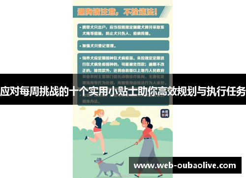 应对每周挑战的十个实用小贴士助你高效规划与执行任务