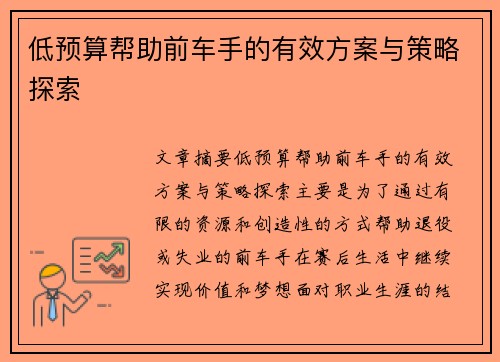 低预算帮助前车手的有效方案与策略探索