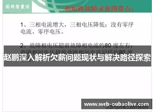 赵鹏深入解析欠薪问题现状与解决路径探索