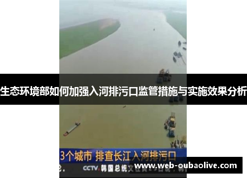 生态环境部如何加强入河排污口监管措施与实施效果分析